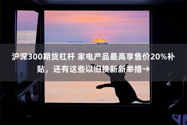 沪深300期货杠杆 家电产品最高享售价20%补贴，还有这些以旧换新新举措→