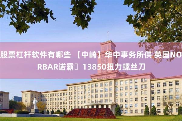 股票杠杆软件有哪些 【中崎】华中事务所供 英国NORBAR诺霸​13850扭力螺丝刀