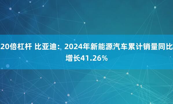 20倍杠杆 比亚迪：2024年新能源汽车累计销量同比增长41.26%