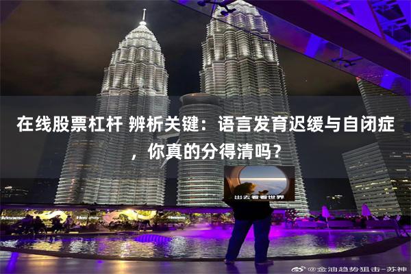 在线股票杠杆 辨析关键：语言发育迟缓与自闭症，你真的分得清吗？