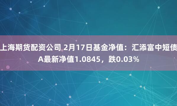 上海期货配资公司 2月17日基金净值：汇添富中短债A最新净值1.0845，跌0.03%