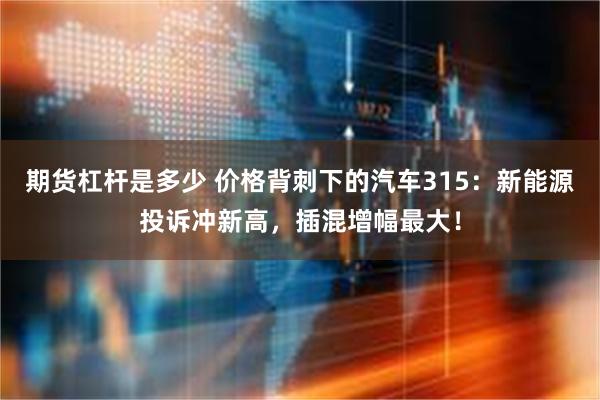 期货杠杆是多少 价格背刺下的汽车315：新能源投诉冲新高，插混增幅最大！